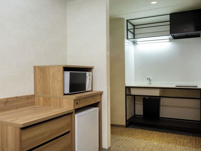 Standard Double with Kitchen (Non-smoking) (Cleaning is Optional with Additional Cost)