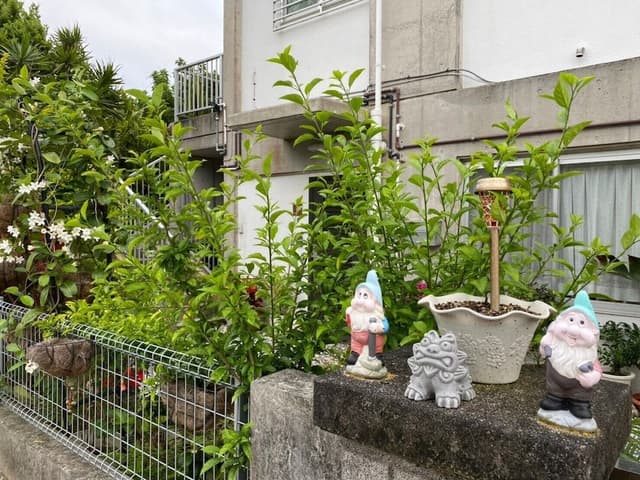 Family Villa