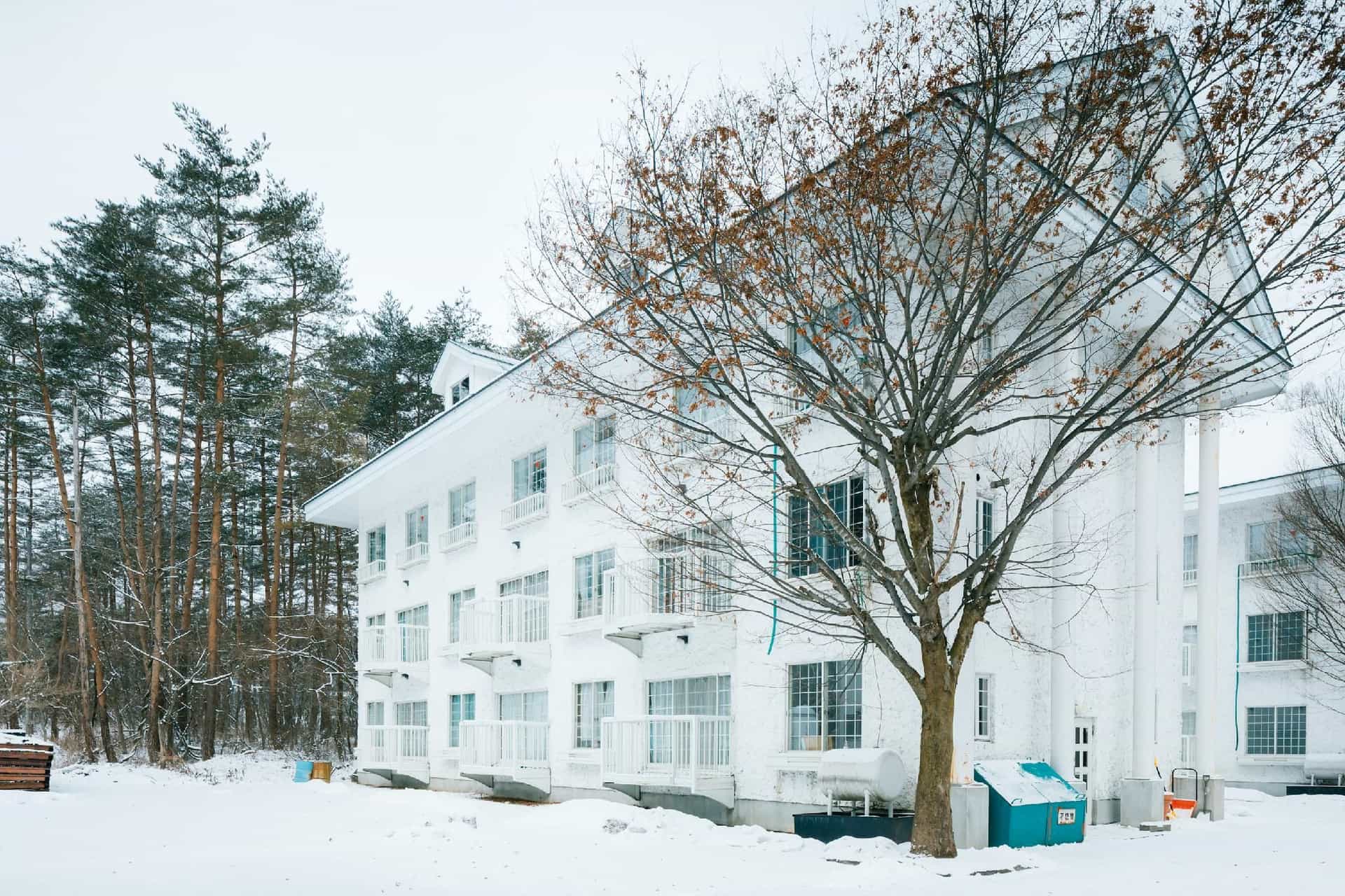 Apartment Excel Hakuba