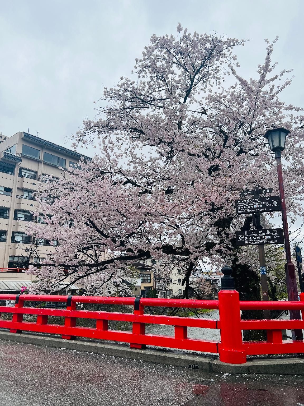 แจ๊ส โฮเต็ล ทากายามะ (Jas Hotel Takayama)3