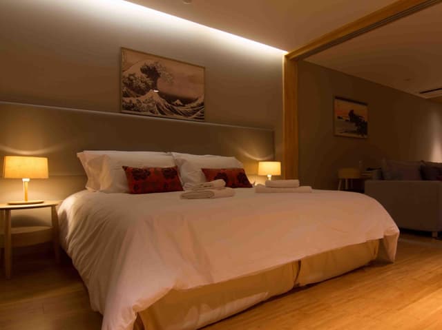1 Bedroom Apartment