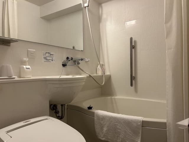 Standard Japanese Style Room