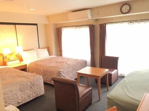 Deluxe Twin Non- Smoking Room