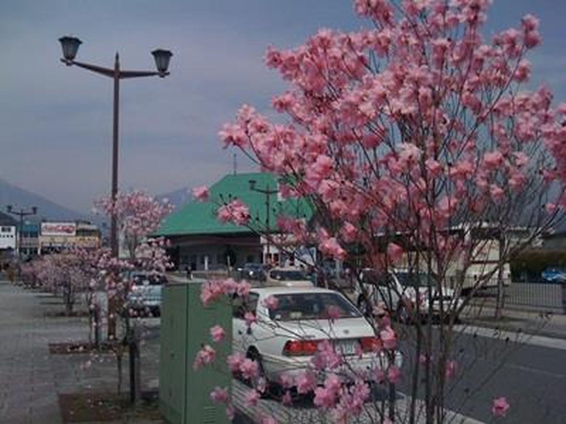 นิกโก พาร์ค ลอดจ์ เมาน์เทน ไซด์ (Nikko Park Lodge Mountain Side)2