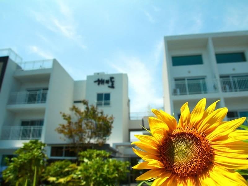 Jeju Baraki Pension Jeju Baraki Pension