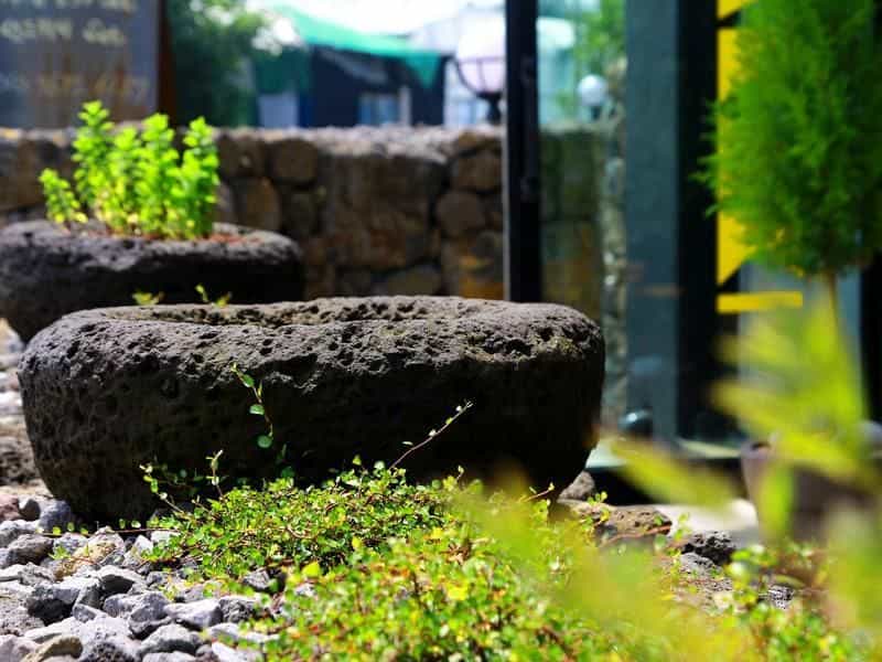 Jeju Baraki Pension Jeju Baraki Pension