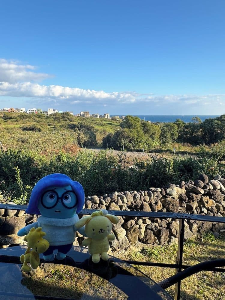 StayInJeju StayInJeju