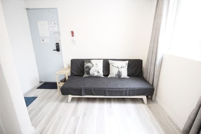 Deluxe Double Room, 1 Double Bed with Sofa bed, Non Smoking (non-Korean nationals only)