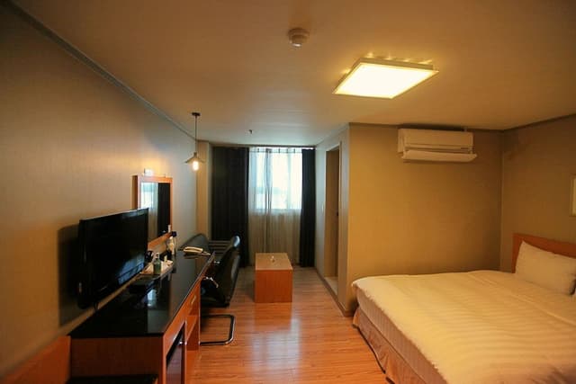 Junior Studio Suite