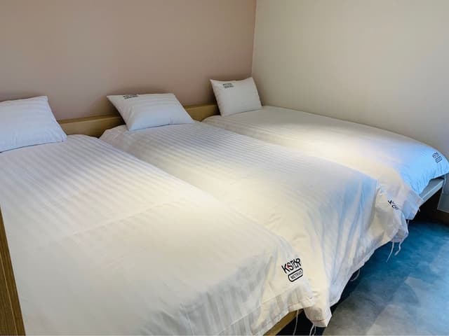 Business Triple Room