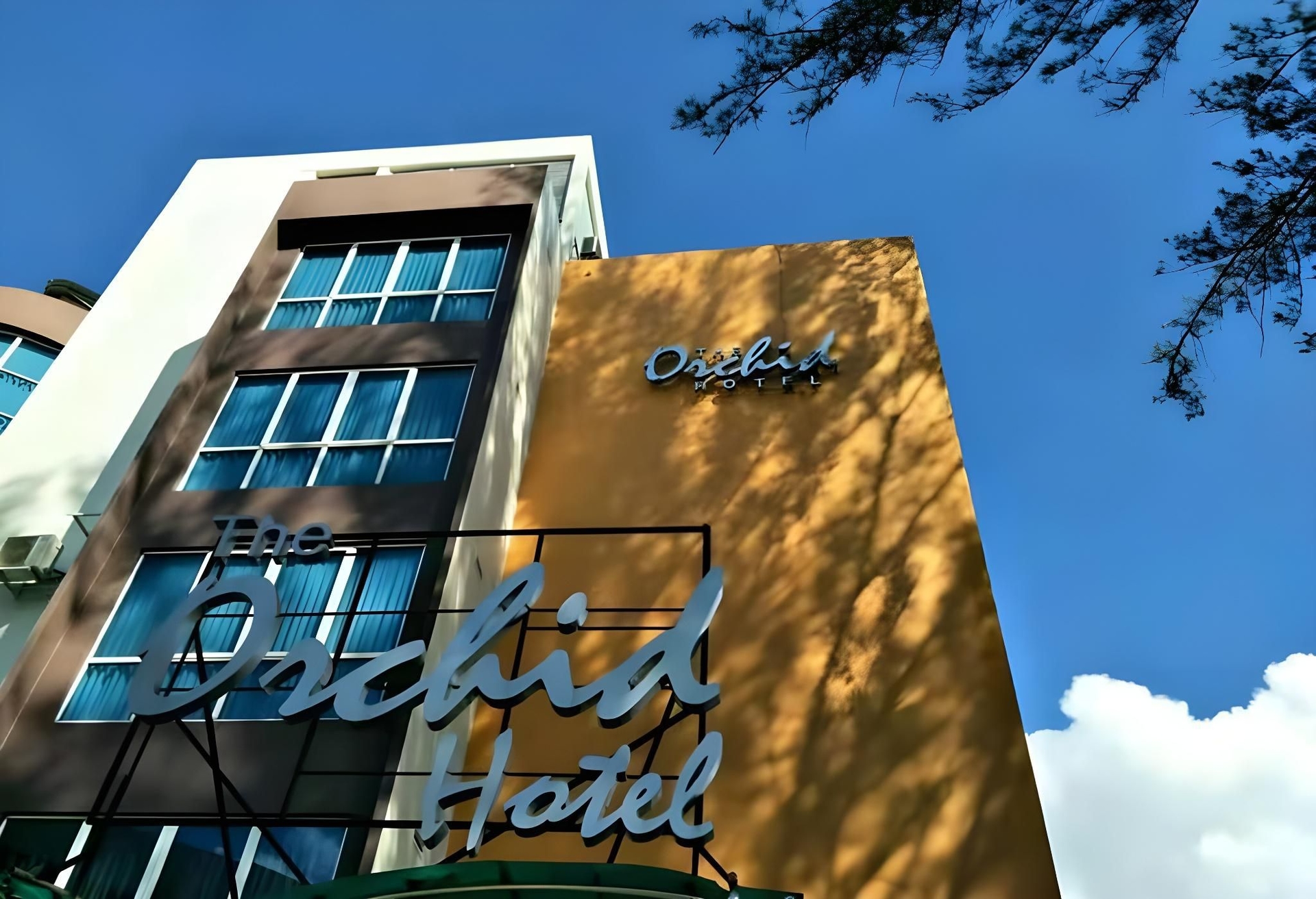 ดิ ออร์คิด โฮเต็ล (The Orchid Hotel)0