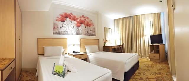 Superior Twin Bed