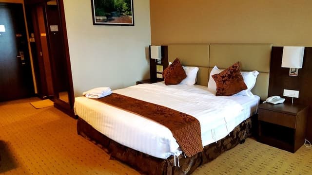 Executive Room, 1 King Bed, Non Smoking, City View