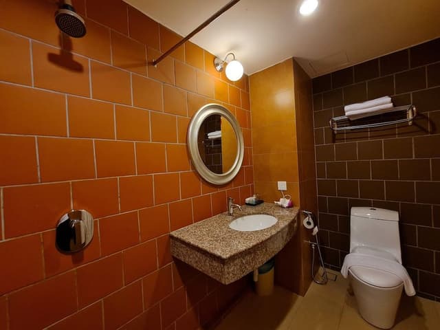 Deluxe Double Room, 1 King Bed