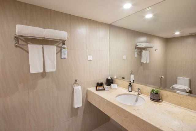 Deluxe Room, 1 King Bed