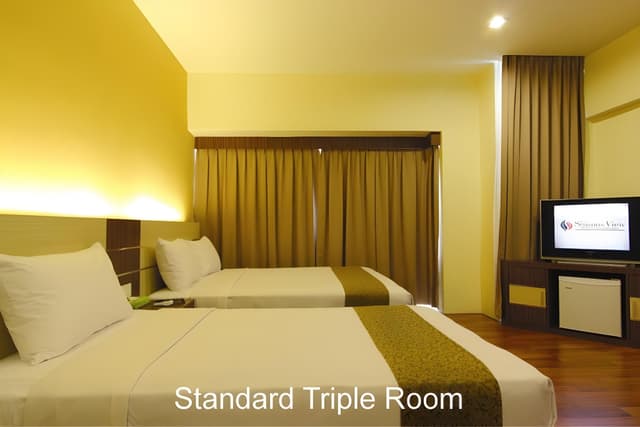 Standard Triple