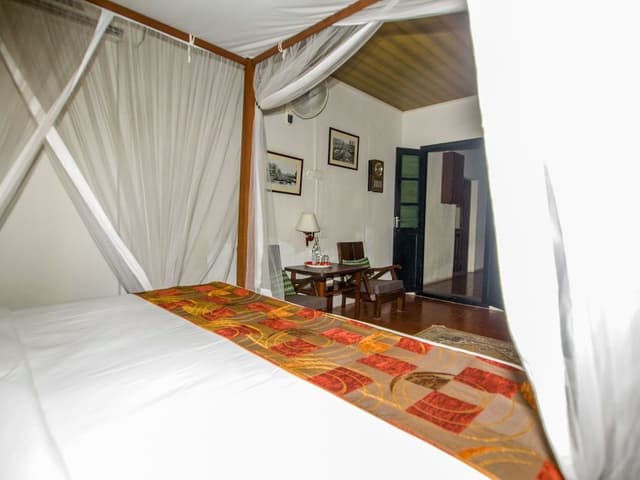 Deluxe Suite - Pelikat