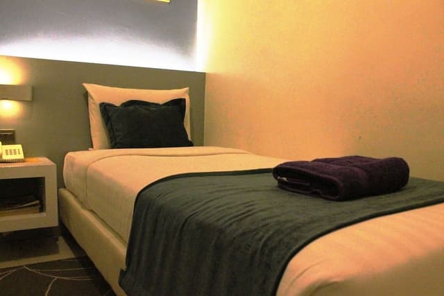 Basic Single Room, 1 Twin Bed, Non Smoking, No Windows