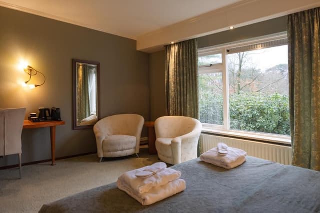 Deluxe Room Classic