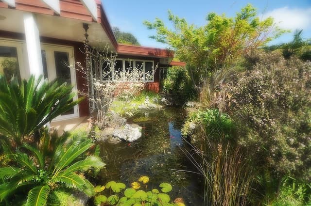 Premium Double Room, 1 King Bed, Pool Access, Garden Area