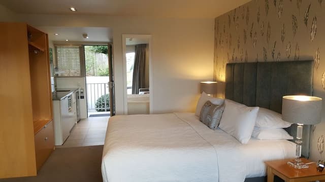 Premier Studio, 1 King Bed