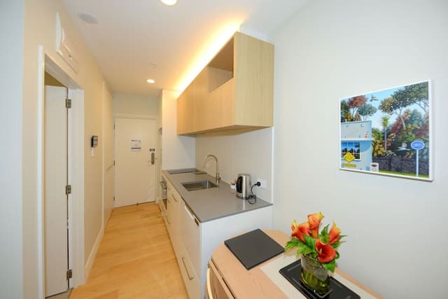 Superior Studio Apartment