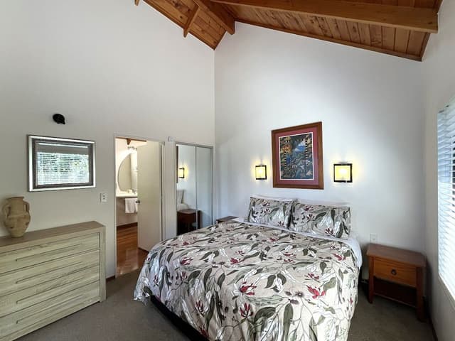 Treetops - King Studio with Spa Bath