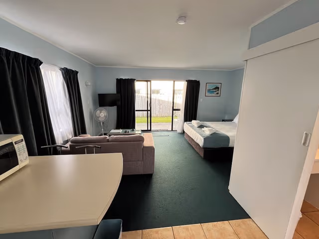 Large Studio Apartment