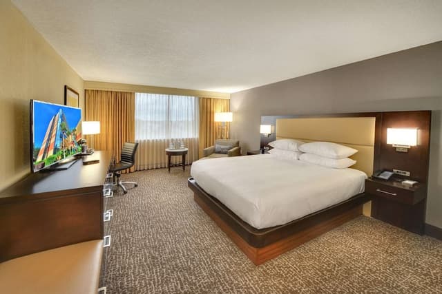 Room, 1 King Bed