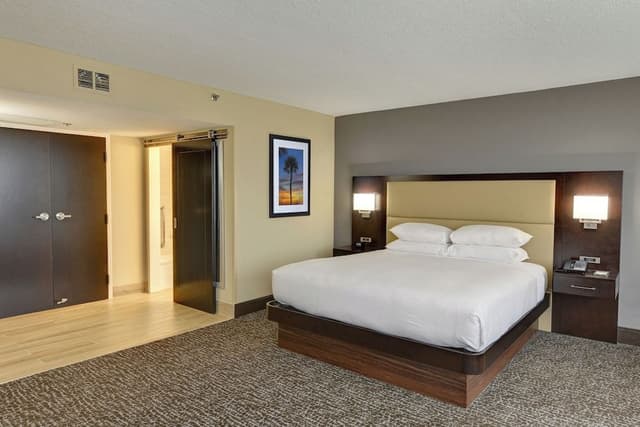 Room, 1 King Bed