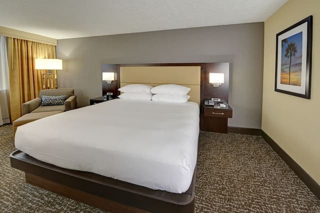 Room, 1 King Bed