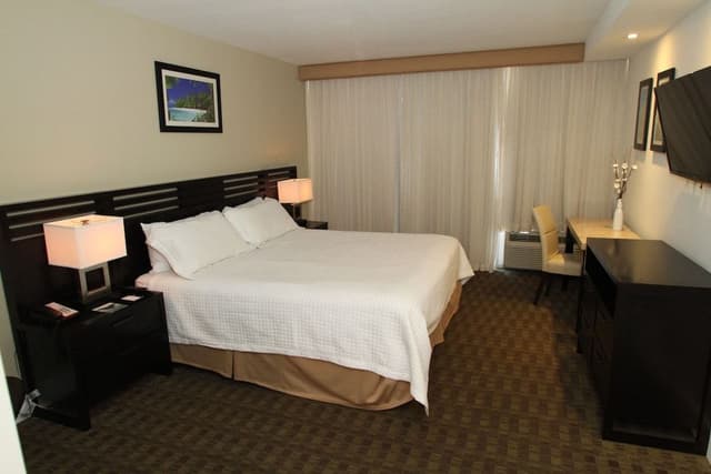 Standard Room, 1 King Bed