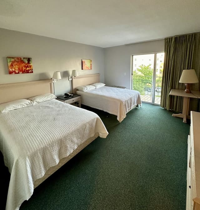 Basic Double Room
