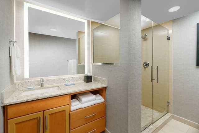 Suite, 1 Bedroom
