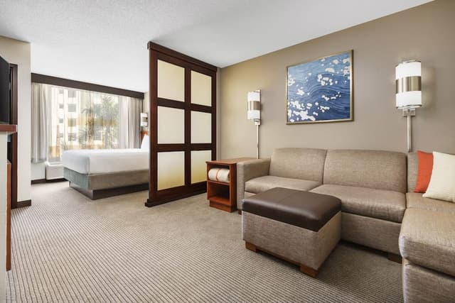 Room, 1 King Bed, Accessible, Bathtub