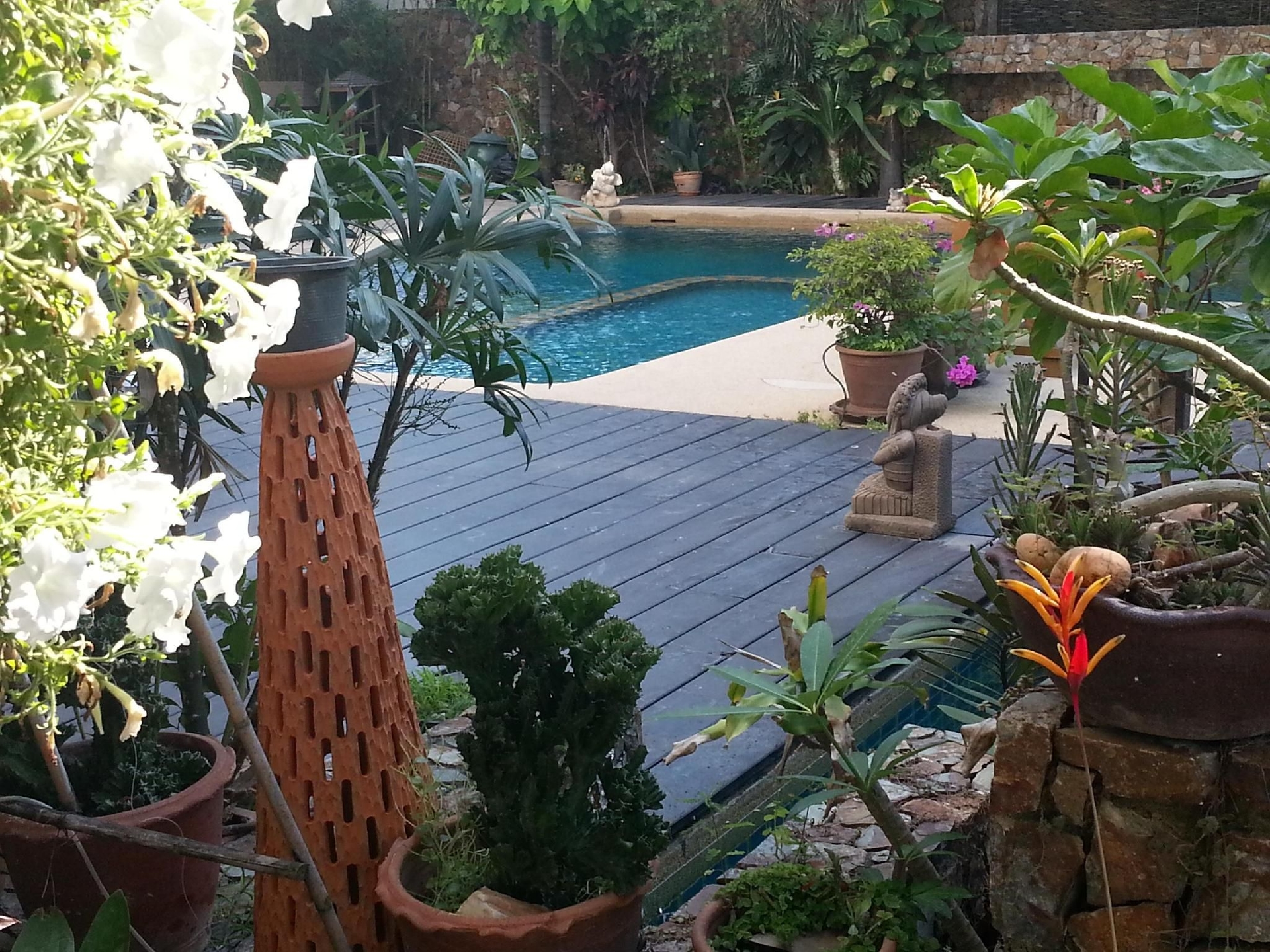 Daisy Residence2