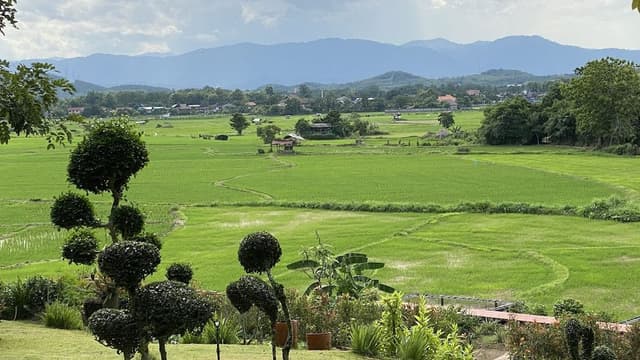 The Mountain View Villa