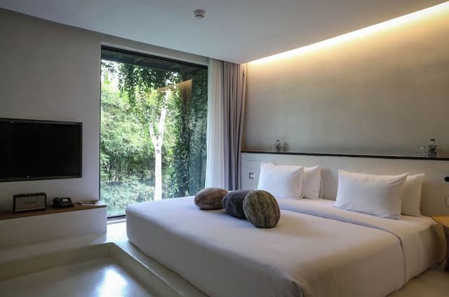 2 Bedroom Fallingwater Pool Villa
