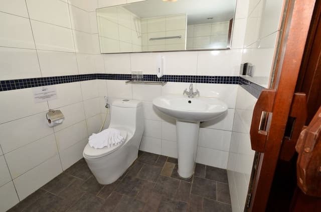 Superior Double or Twin Room