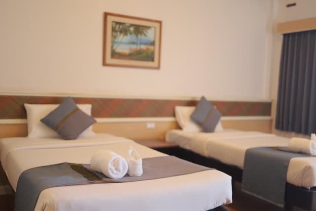 Deluxe Twin Bed Room