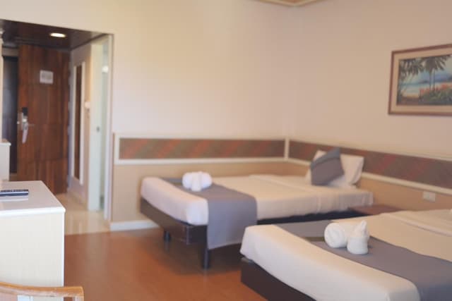 Deluxe Twin Bed Room