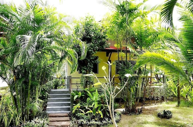 Deluxe Bungalow, 1 Bedroom, Garden View, Courtyard Area