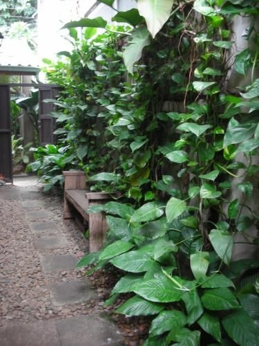 เชียงมั่น เรสซิเดนซ์ (Chiang Maan Residence)2