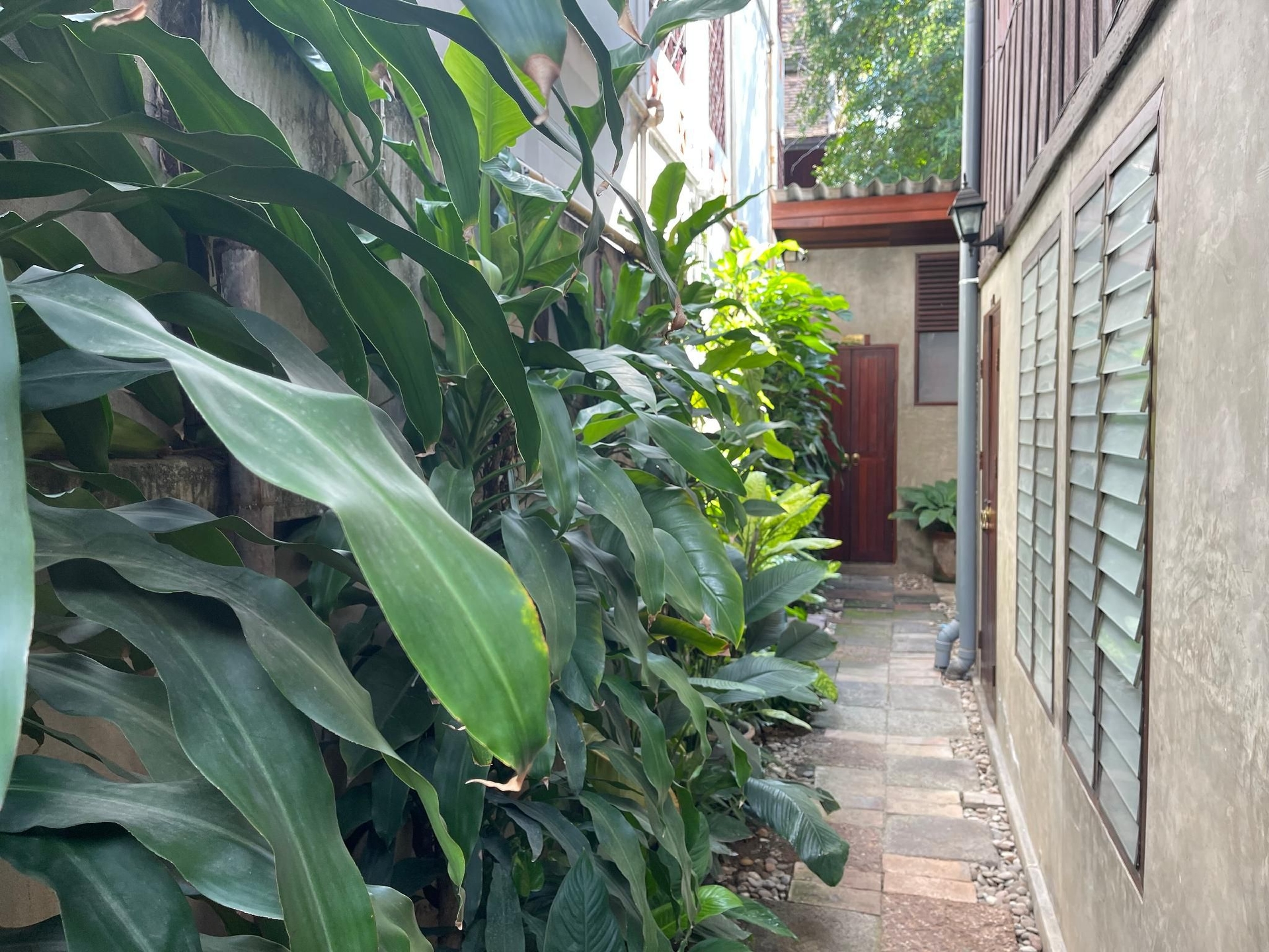 เชียงมั่น เรสซิเดนซ์ (Chiang Maan Residence)3