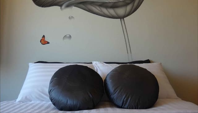 Premier Double or Twin Room