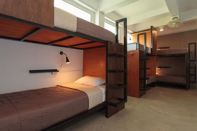 Premium Shared Dormitory, 1 Bedroom, Terrace