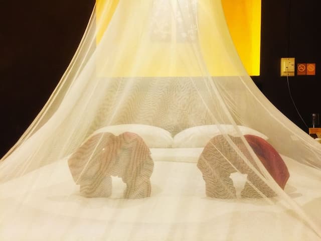 Double Room with Fan