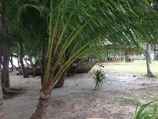 Thalane Resort1
