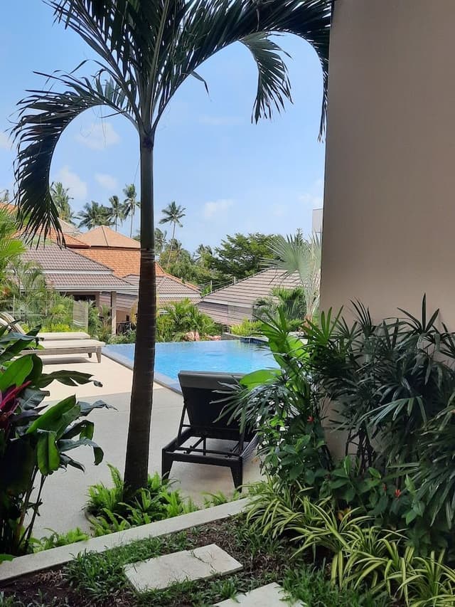 Luxury Room