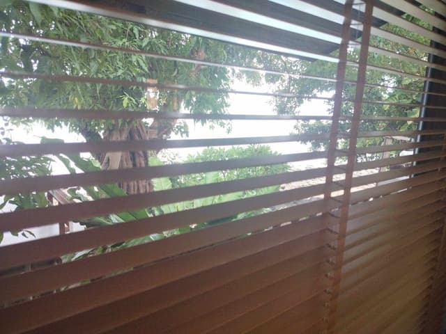 Bangalow Garden View